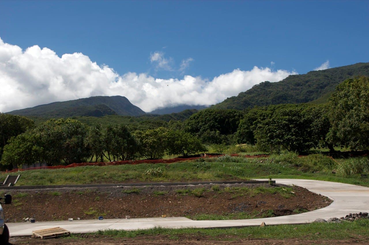 Landscape in Haleakalā National Park's Kīpahulu district